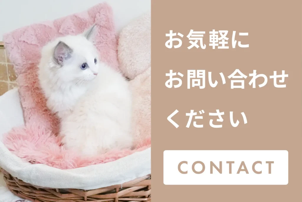 お気軽にご相談ください