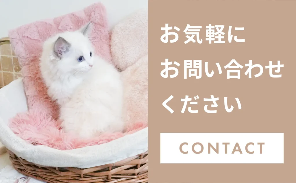 猫舎シャンテの猫