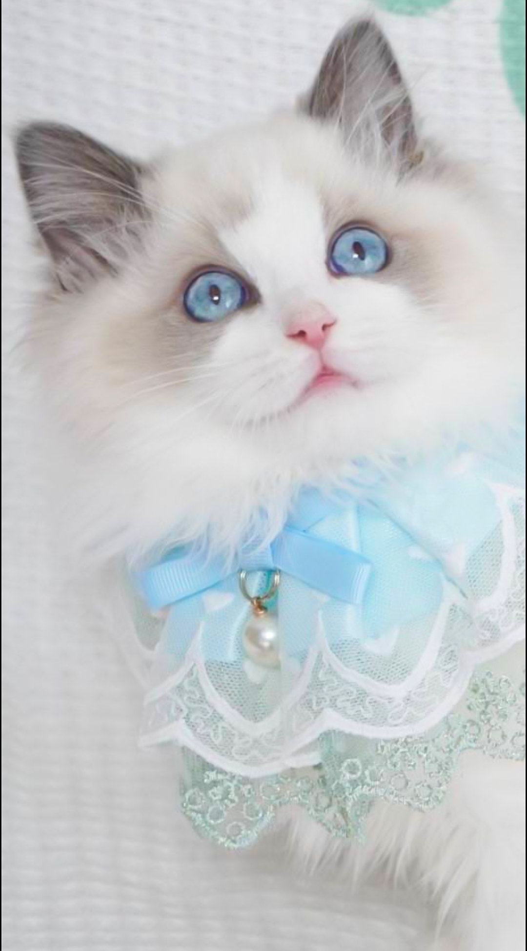 エトワール